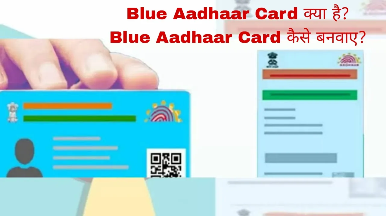 What is Blue Aadhaar Card and how to apply